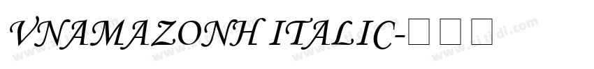 VNAmazonH Italic字体转换